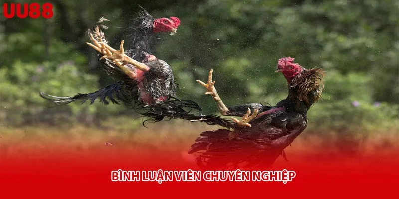 Bình luận viên chuyên nghiệp