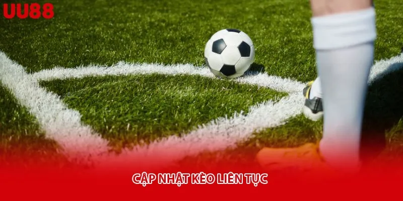 Cập nhật kèo liên tục