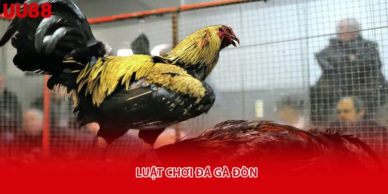 Luật chơi đá gà đòn