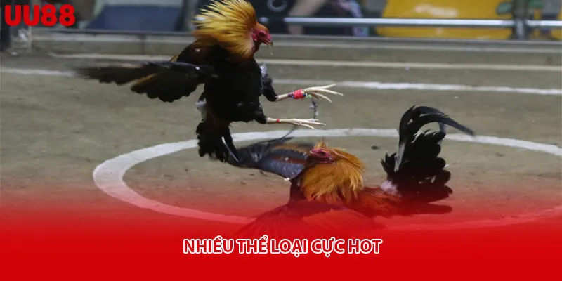 Nhiều thể loại cực hot