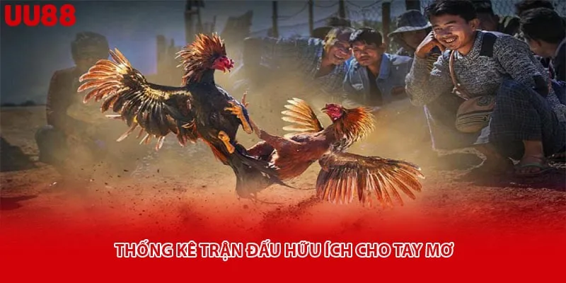 Thống kê trận đấu hữu ích cho tay mơ